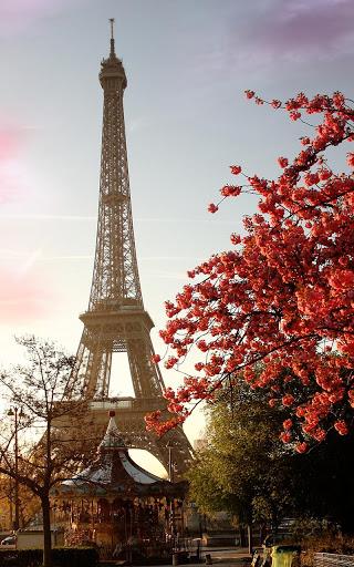 Sunny Paris Live Wallpaper - عکس برنامه موبایلی اندروید