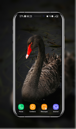 New Swan Wallpaper - Image screenshot of android app