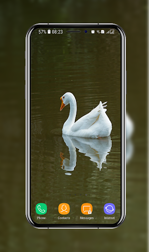 New Swan Wallpaper - Image screenshot of android app