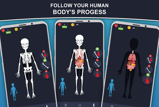 Anato Trivia -  Quiz Anatomy - Gameplay image of android game