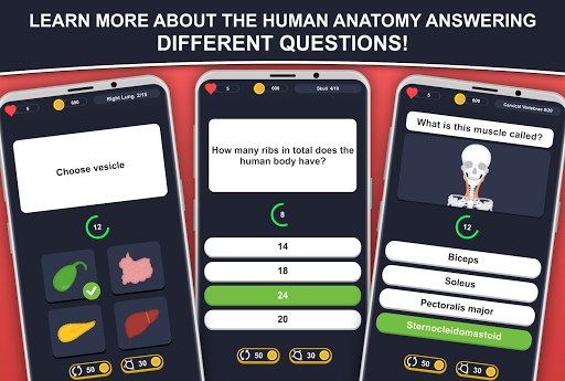 Anato Trivia -  Quiz Anatomy - Gameplay image of android game