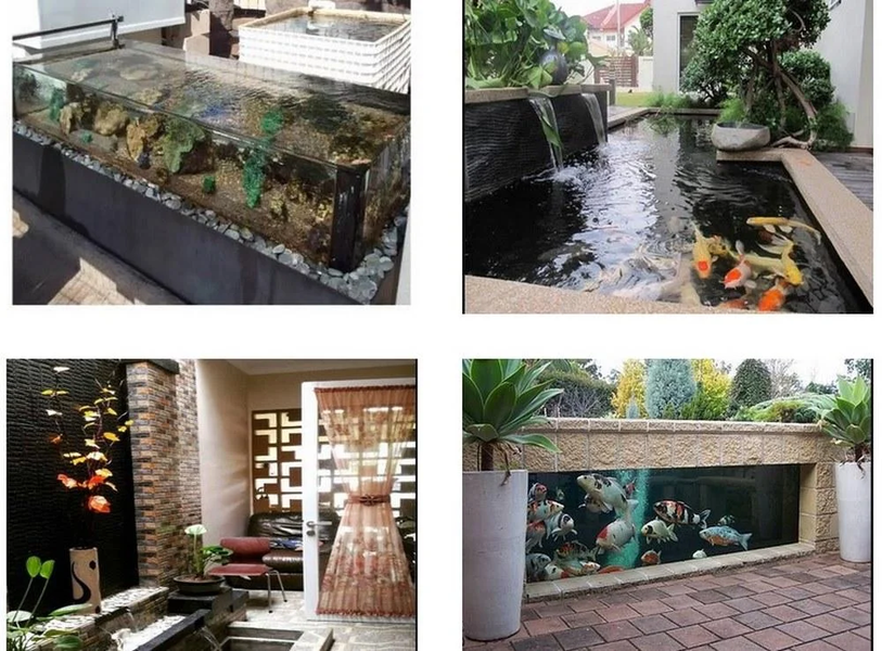 Biofloc Catfish Cultivation - عکس برنامه موبایلی اندروید