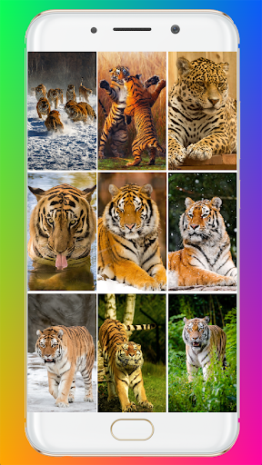 Tiger Wallpaper HD - عکس برنامه موبایلی اندروید