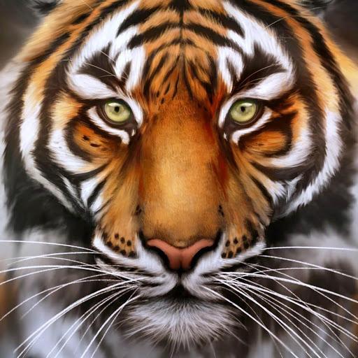 Tiger Live Wallpaper - Image screenshot of android app