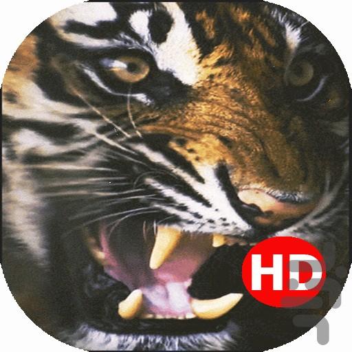 Tiger Live Wallpaper - عکس برنامه موبایلی اندروید