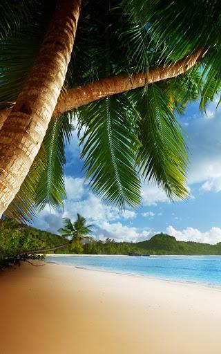 Tropical Beach Live Wallpaper - Image screenshot of android app