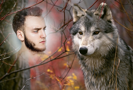 Wild Animal Photo Frames - عکس برنامه موبایلی اندروید
