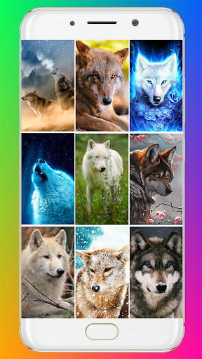 Wolf Wallpaper HD - Image screenshot of android app