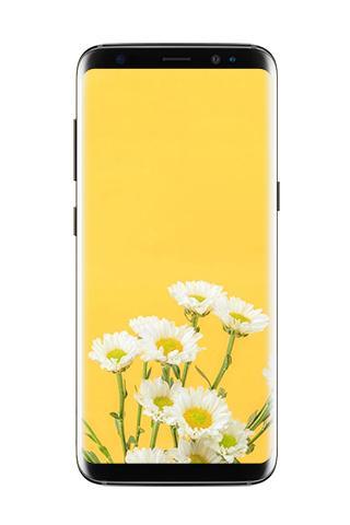 Yellow Wallpapers - Image screenshot of android app