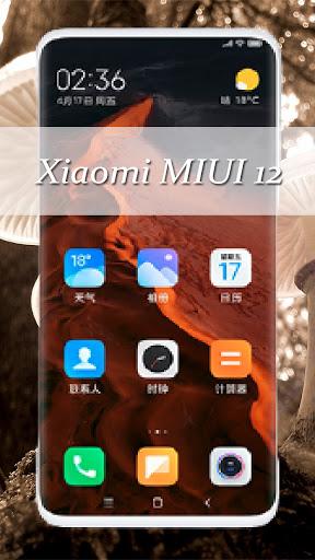 Theme for Xiaomi MIUI 12 - عکس برنامه موبایلی اندروید