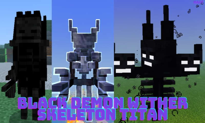 Black Demon Wither Skeleton Ti - Gameplay image of android game