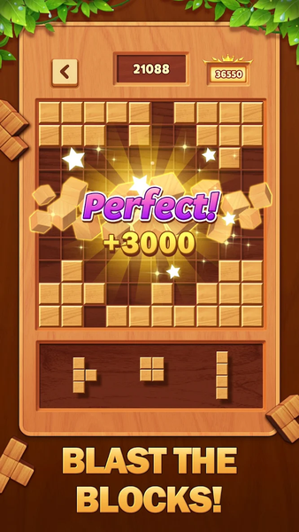 Block Master-Wood Puzzle Blast - Gameplay image of android game