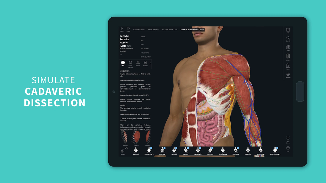 Complete Anatomy - عکس برنامه موبایلی اندروید