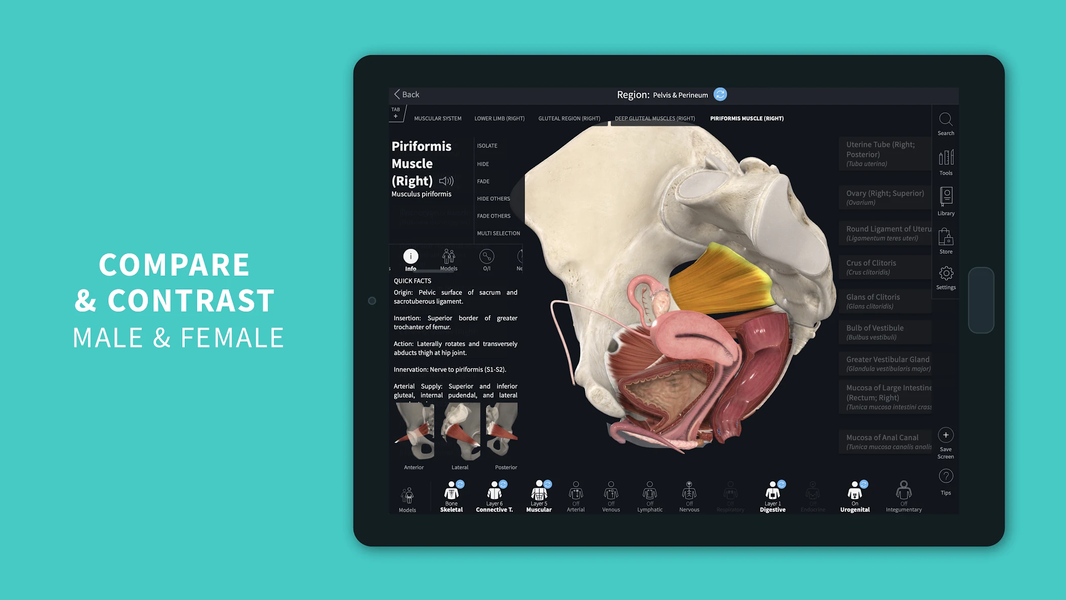 Complete Anatomy - عکس برنامه موبایلی اندروید