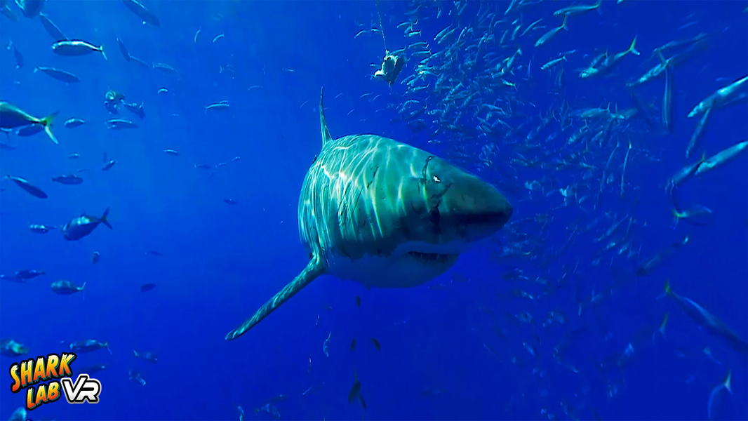 Steam Lab VR - عکس برنامه موبایلی اندروید