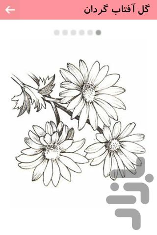 How To Draw Everything - Image screenshot of android app