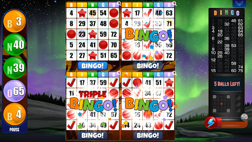 Absolute Bingo Game for Android - Download