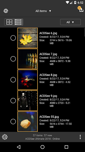 ACDSee Mobile Sync - Image screenshot of android app