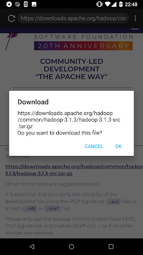 Download Manager - Image screenshot of android app