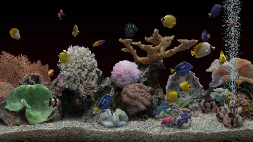 Marine Aquarium 3.3 - Image screenshot of android app