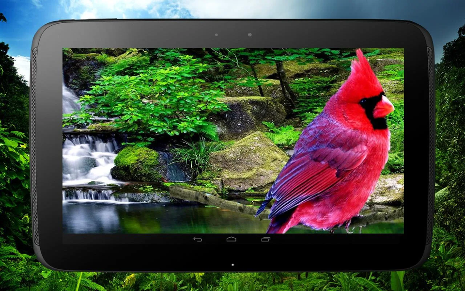 ۳D birds parallax - عکس برنامه موبایلی اندروید