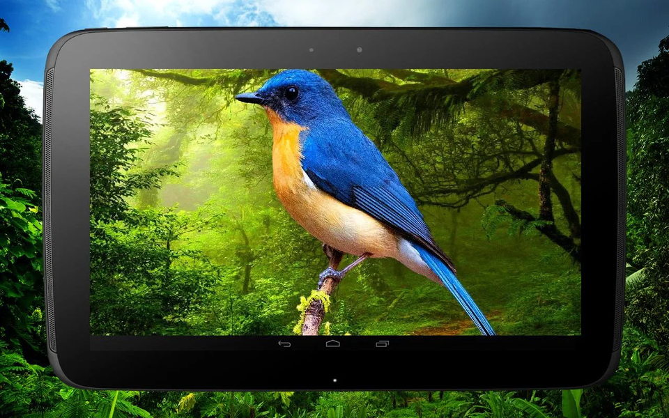 ۳D birds parallax - عکس برنامه موبایلی اندروید