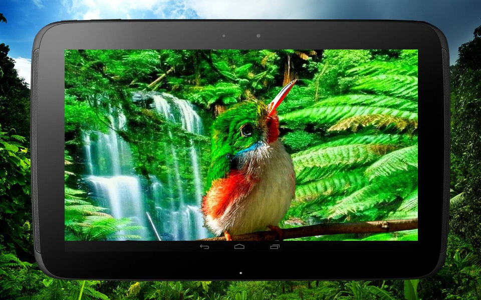 ۳D birds parallax - عکس برنامه موبایلی اندروید