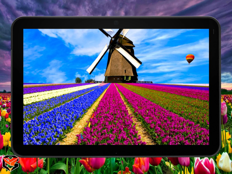 Flower Fields Live Wallpaper - عکس برنامه موبایلی اندروید