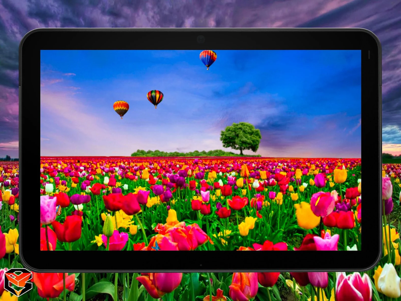 Flower Fields Live Wallpaper - عکس برنامه موبایلی اندروید