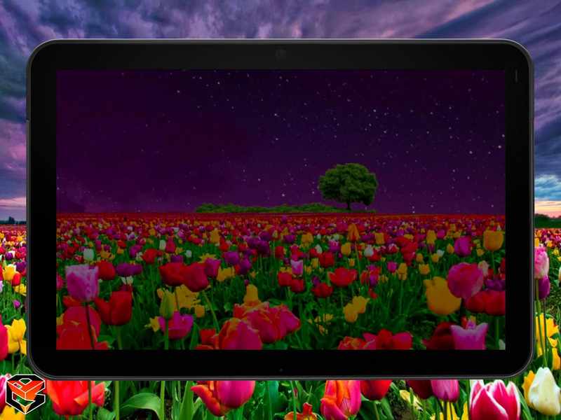 Flower Fields Live Wallpaper - عکس برنامه موبایلی اندروید