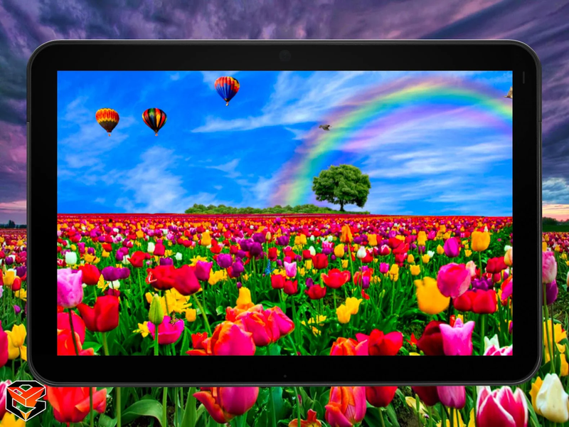 Flower Fields Live Wallpaper - عکس برنامه موبایلی اندروید