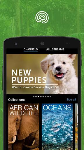 explore.org - Image screenshot of android app