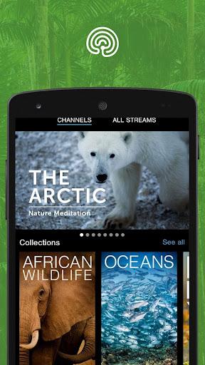 explore.org - Image screenshot of android app