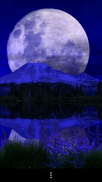 Mount Rainier Lite - Image screenshot of android app