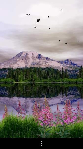 Mount Rainier Lite - Image screenshot of android app