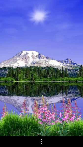 Mount Rainier Lite - Image screenshot of android app