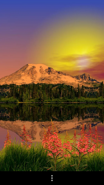 Mount Rainier Lite - Image screenshot of android app