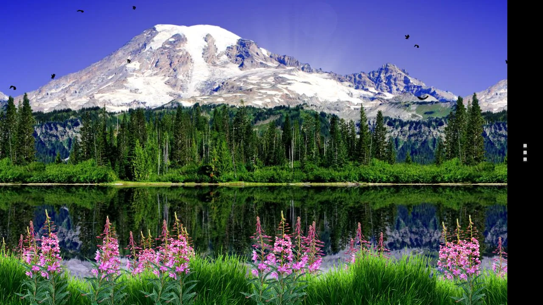 Mount Rainier Lite - Image screenshot of android app