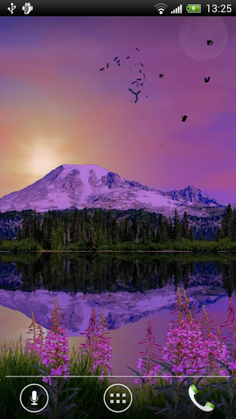 Mount Rainier Lite - Image screenshot of android app