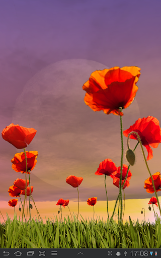 Poppy Field Lite - Image screenshot of android app