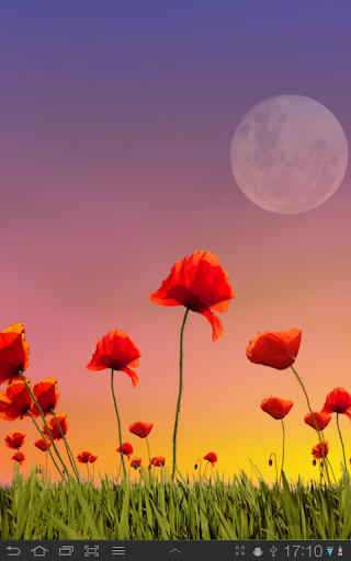 Poppy Field Lite - Image screenshot of android app