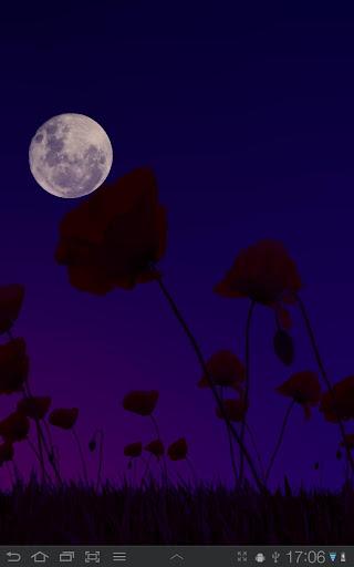 Poppy Field Lite - Image screenshot of android app