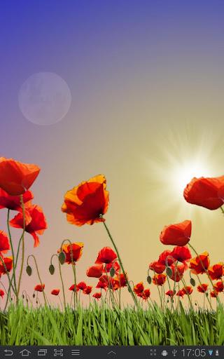 Poppy Field Lite - Image screenshot of android app