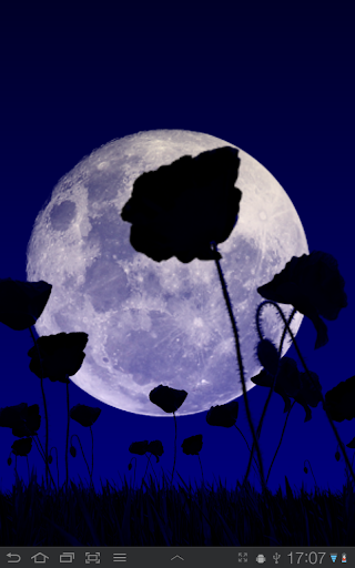 Poppy Field Lite - Image screenshot of android app