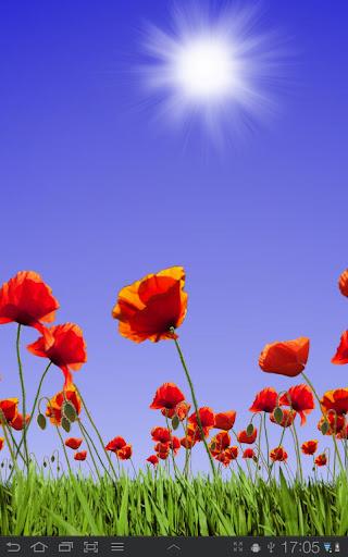 Poppy Field Lite - Image screenshot of android app