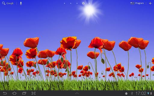 Poppy Field Lite - Image screenshot of android app