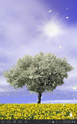 Spring Trees Free - Image screenshot of android app