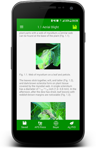 Ag PhD Soybean Diseases - Image screenshot of android app