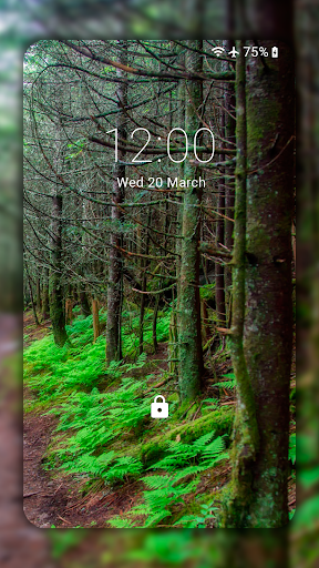 Forest Wallpapers HD (backgrounds & themes) - Image screenshot of android app