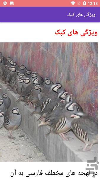 آموزش پرورش کبک - عکس برنامه موبایلی اندروید